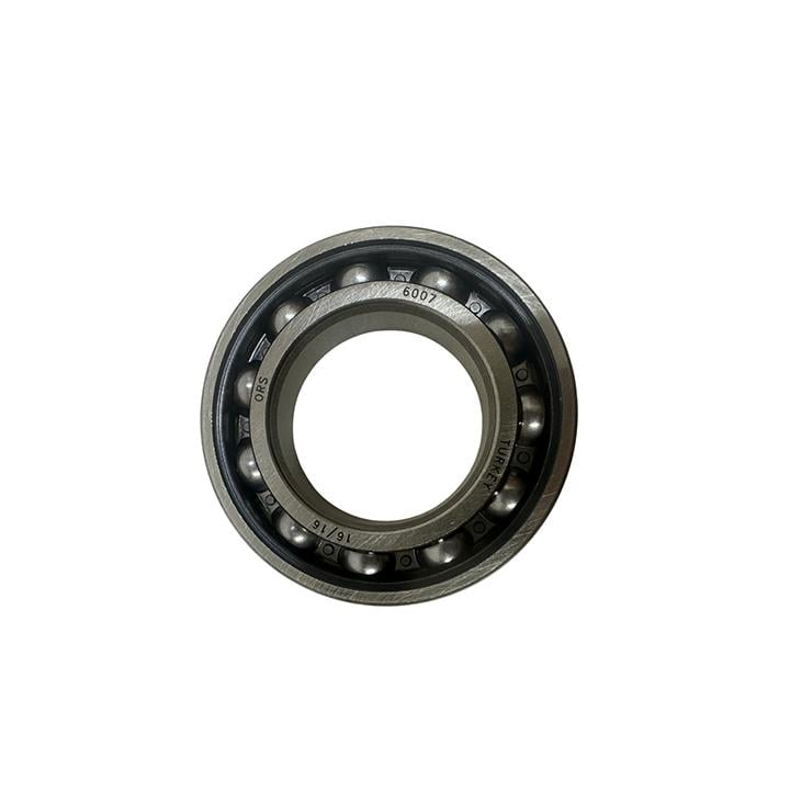 RULMAN 6007