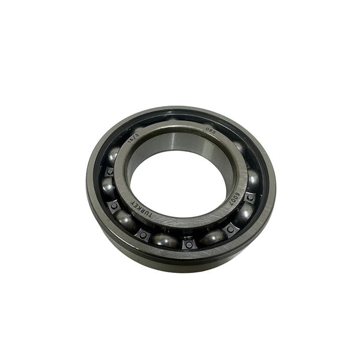 RULMAN 6007