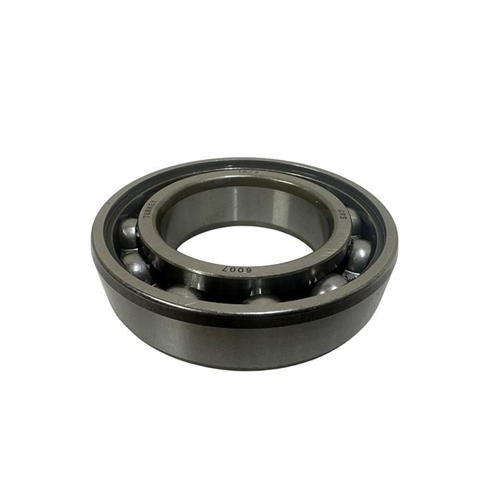 RULMAN 6007