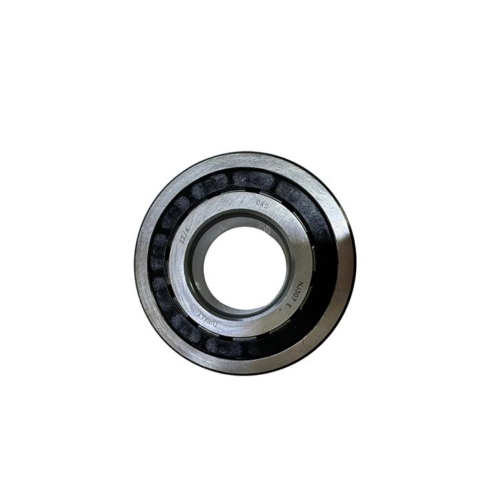 RULMAN NJ307E
