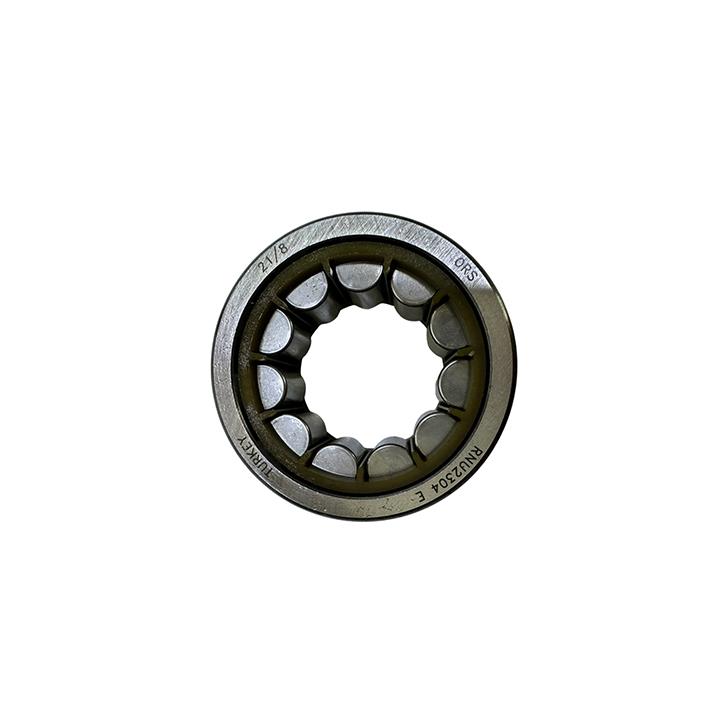 ŞANZUMAN RULMANI RNU2304