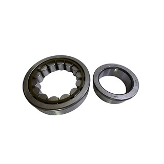RULMAN-CER DİŞLİ 6311