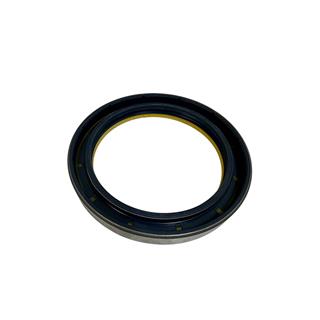 ARKA AKS KEÇESİ 110X130X16