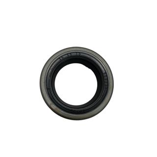 ARKA AKS KEÇESİ 35X55X10