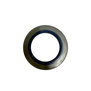 ARKA AKS KEÇESİ  TT4