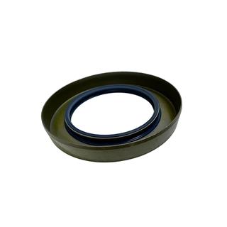 ARKA AKS KEÇESİ  TT4