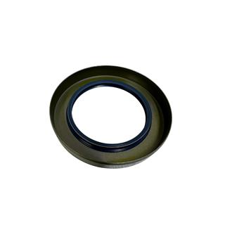 ARKA AKS KEÇESİ  TT4