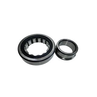 ARKA AKS RULMANI NJ310