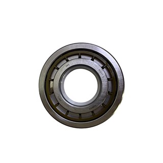 RULMAN-CER DİŞLİ 6311