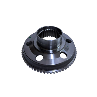 BALATA DİSKİ, KAVRAMA