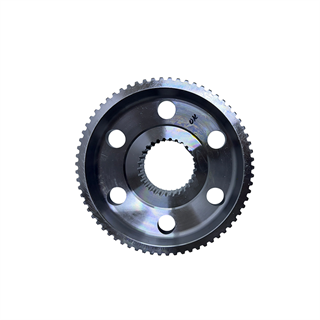 BALATA DİSKİ, KAVRAMA