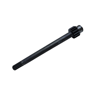 KISA KUYRUK MİLİ İÇ