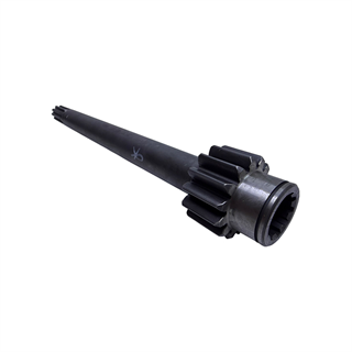 KISA KUYRUK MİLİ İÇ