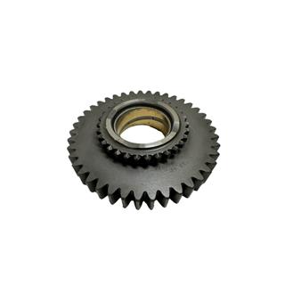 ŞANZIMAN DİŞLİSİ