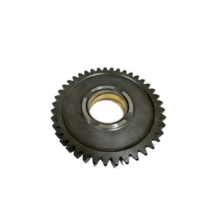 ŞANZIMAN DİŞLİSİ