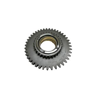 ŞANZIMAN DİŞLİSİ