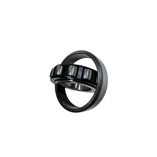 ŞANZUMAN RULMANI 20208