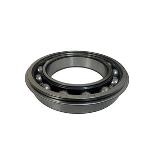 ŞANZUMAN RULMANI  6014ZNR