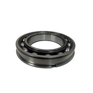 ŞANZUMAN RULMANI  6014ZNR