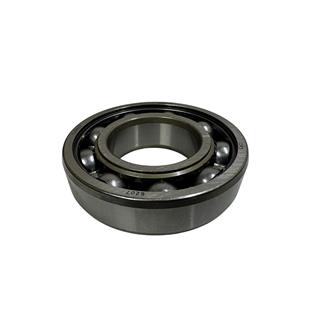 ŞANZUMAN RULMANI 6207