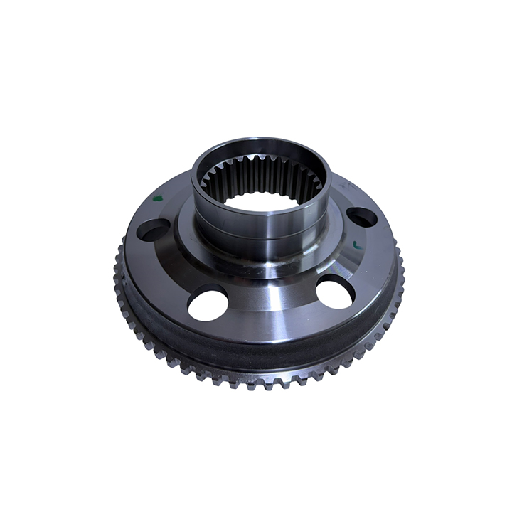 BALATA DİSKİ, KAVRAMA