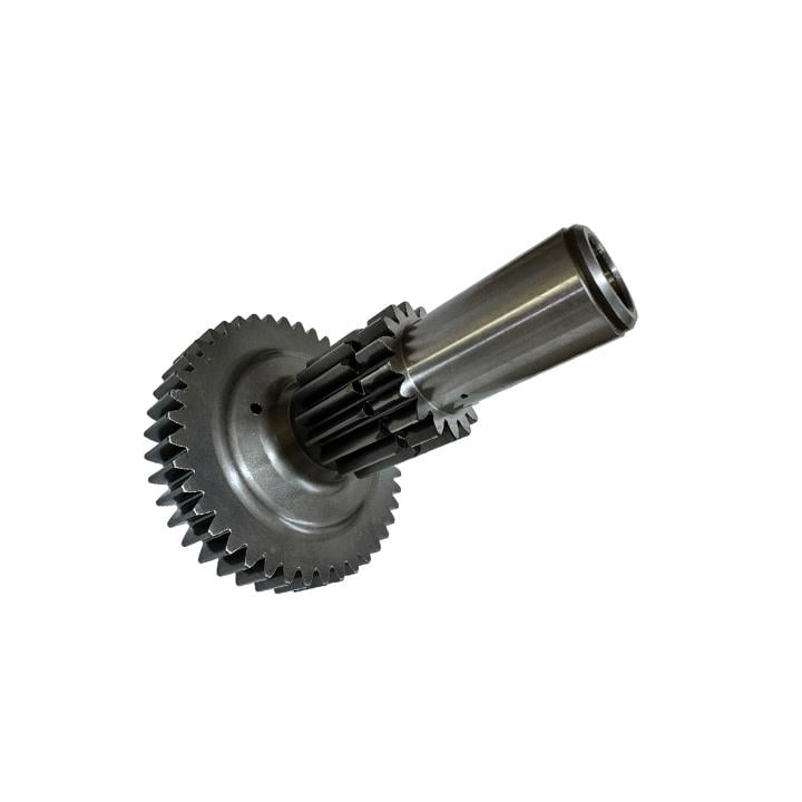 DİŞLİ-PRİZDİREK MİLİ