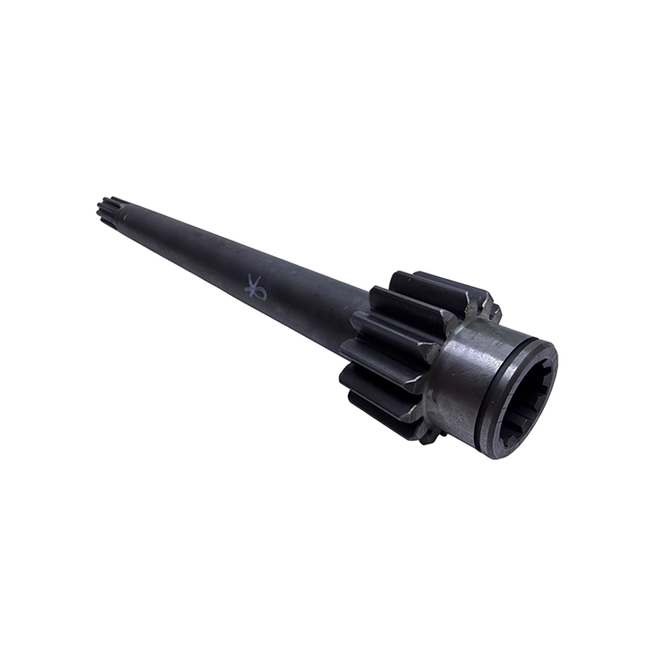 KISA KUYRUK MİLİ İÇ