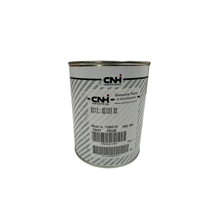 RAPİD BOYA-BEYAZ 1KG