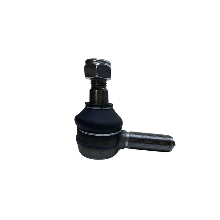 ROT BAŞI İNCE DİŞ