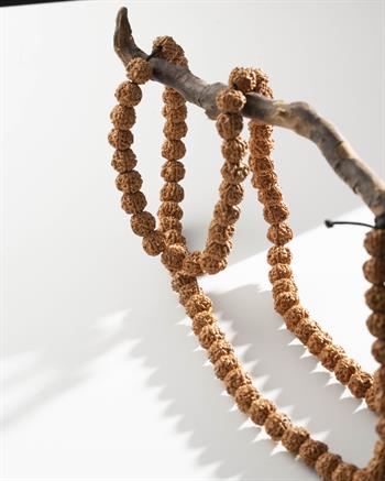 99 Tohumlu Rudraksha Kolye