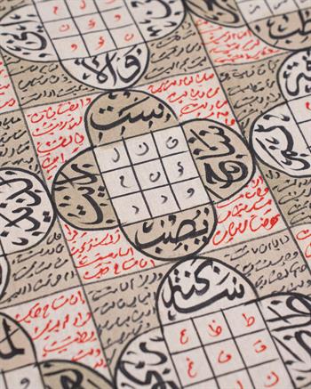 Demir İrade ve Dört Yönlü Zırh: 