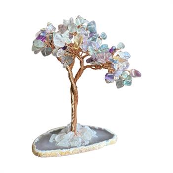 Kristal Kök (Florid Taşı Hayat Ağacı)