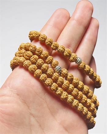 Rudraksha Doğal Enerji Kolye Bileklik Seti