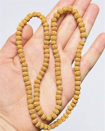 Rudraksha Enerji Dengeleyici Kolye