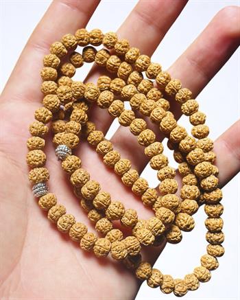 Rudraksha Enerji Dengeleyici Kolye