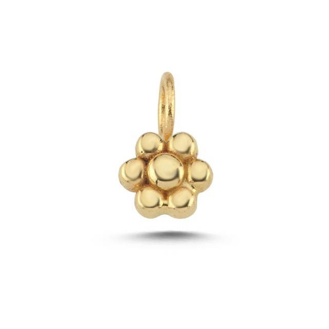CHARM ACHRM0023