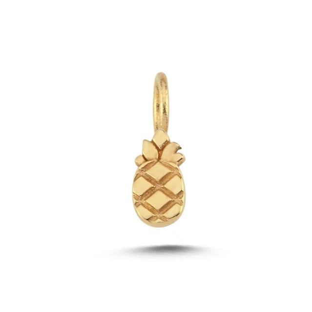 CHARM ACHRM0173