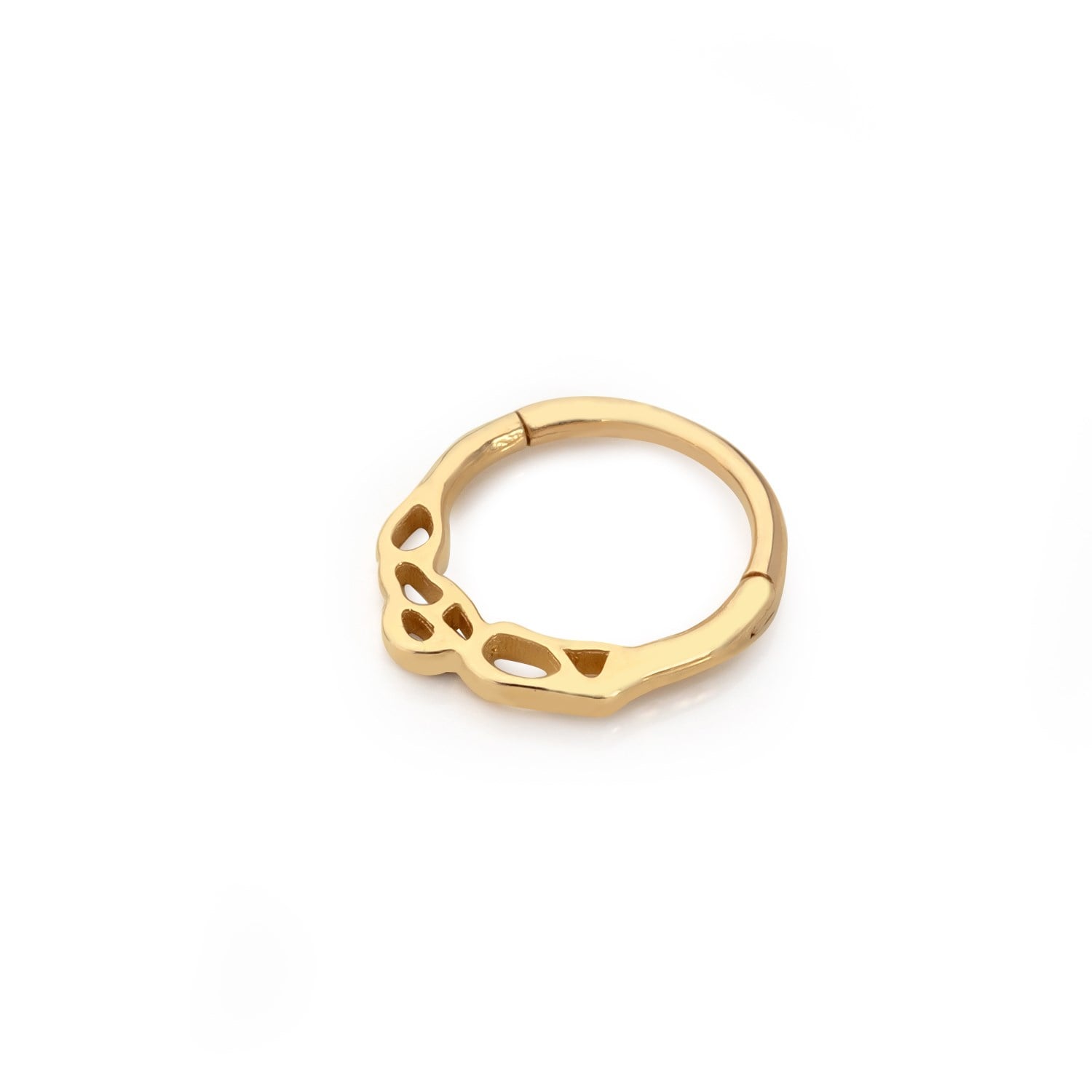 HELIX HLX0024