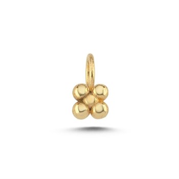 CHARM ACHRM0021