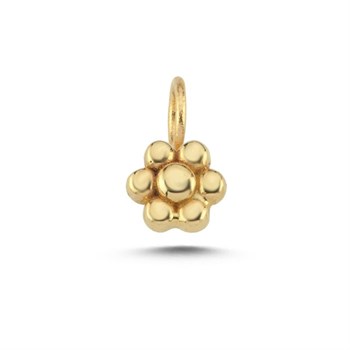 CHARM ACHRM0023