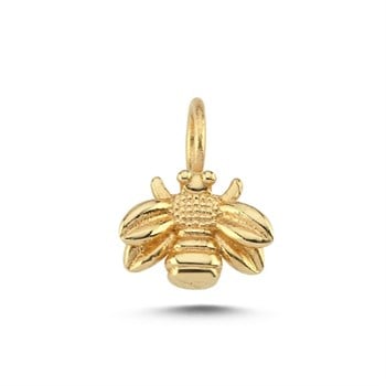 CHARM ACHRM0066