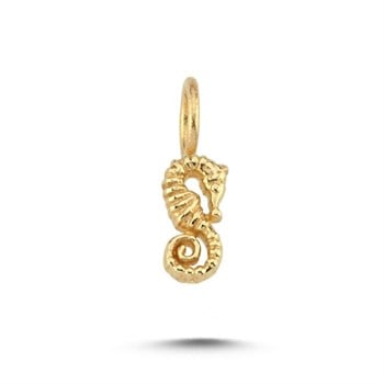 CHARM ACHRM0077