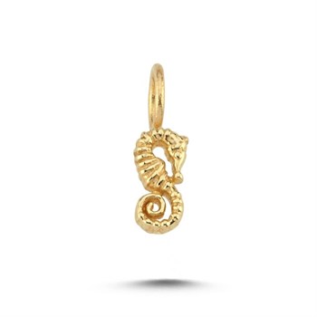 CHARM ACHRM0077