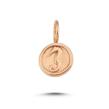 CHARM ACHRM0078