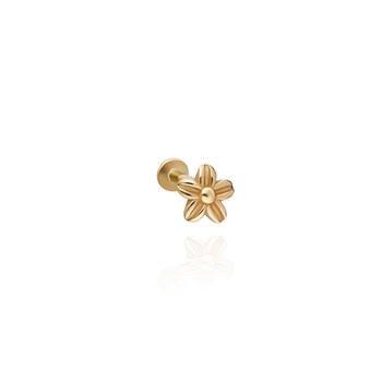 PIERCING PRC0164