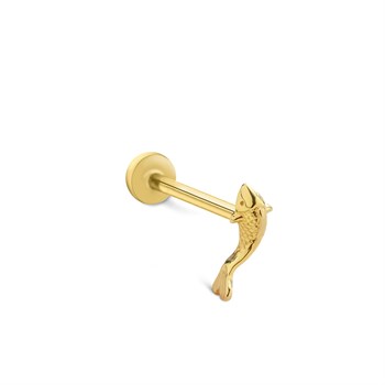 PIERCING PRC0570(s)