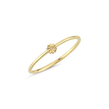 YÜZÜK AYZK0800