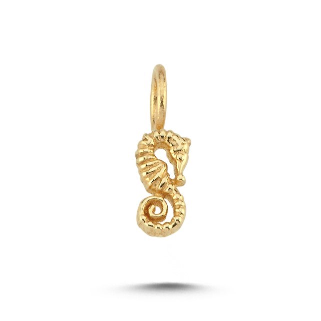 charm-achrm0077--4e21-.jpg
