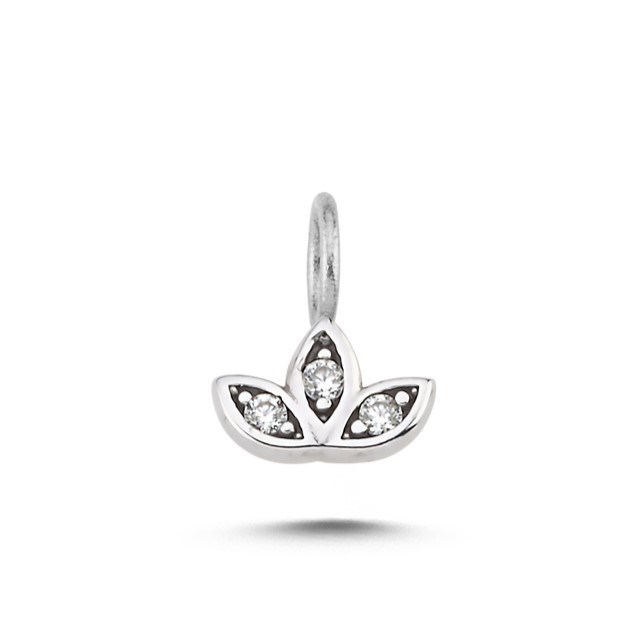 charm-achrm0377-784-21.jpg
