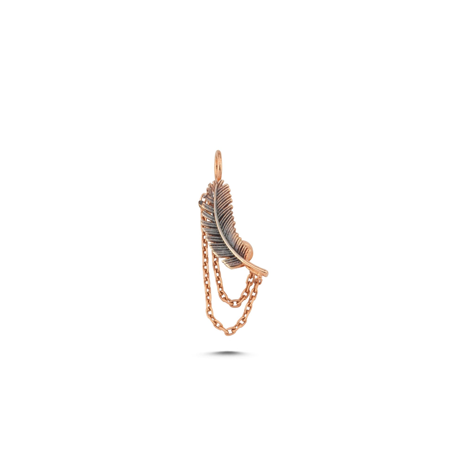 charm-achrm0456-6a479a.jpg